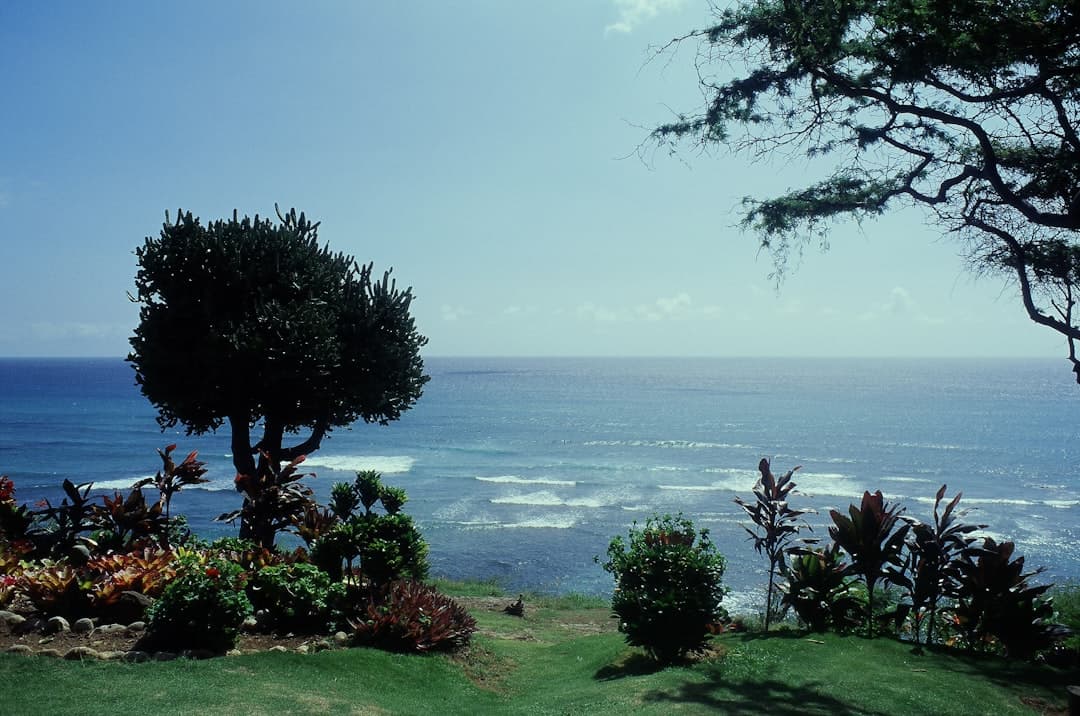 Cost To Build A House In Hawaii (2026)