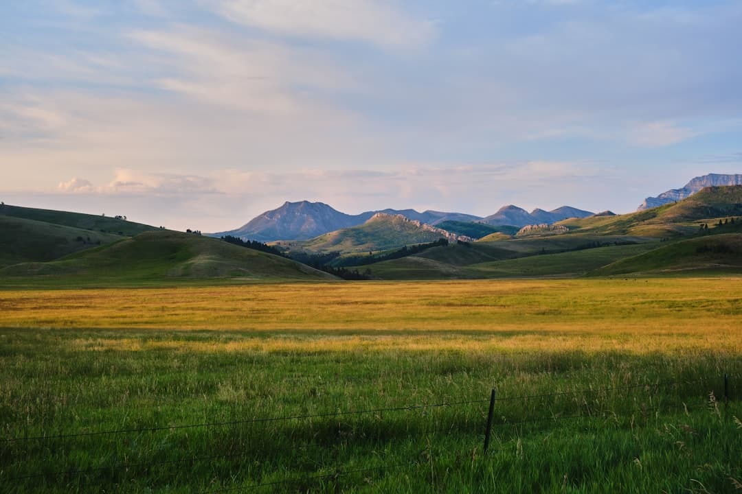 Cost To Build A House In Montana (2026)